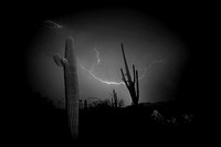'The Sorcerer' - Lightning with Saguaros