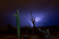 'He's Alive!' - Lightning with Saguaros