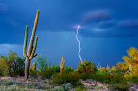 Saguaro & Lightning 02