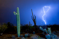 Monsoon Lightning with Saguaros