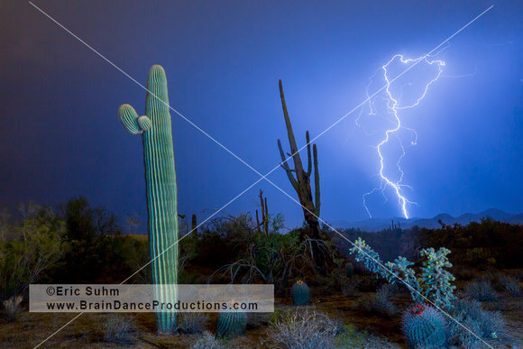 Monsoon Lightning with Saguaros