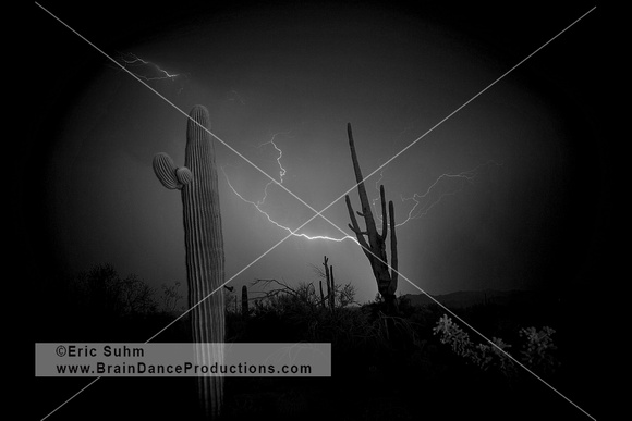'The Sorcerer' - Lightning with Saguaros