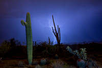 'Positive and Negative' - Lightning with Saguaros