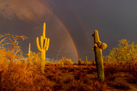 Lucky Strike - Lightning, Double Rainbow with Saguaros