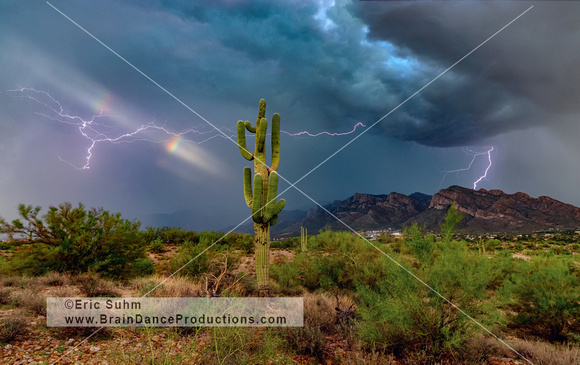 'Touch of Luck' - Monsoon - Saguaro with sliver of double rainbow