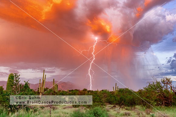 'Lighting the sky on fire' - Lightning over the Catalinas