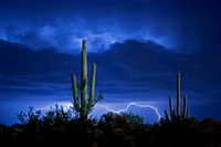Saguaro and Lightning 01