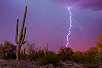 Saguaro & Lightning 03