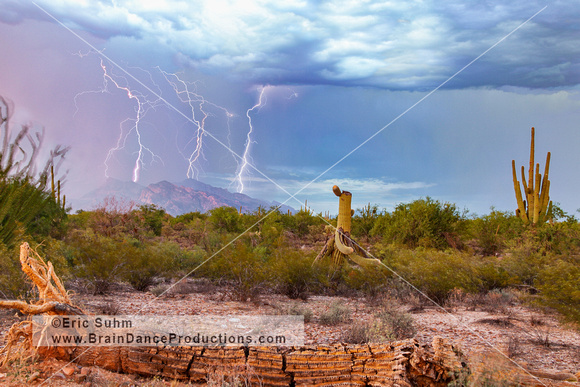 'Circle of Life' Lightning and the Catalinas