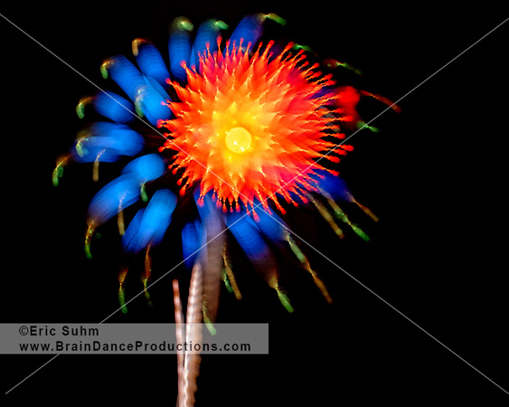 Fireworks Flowers 02