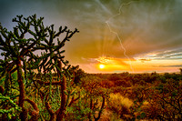 Sunset, Cholla and Lightning HDR