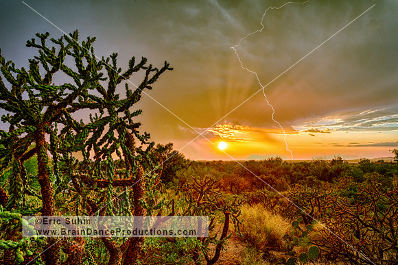 Sunset, Cholla and Lightning HDR