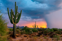 'Painted Desert' Sunset , saguaro and monsoon lightning